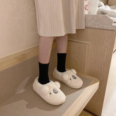 Koala Slippers