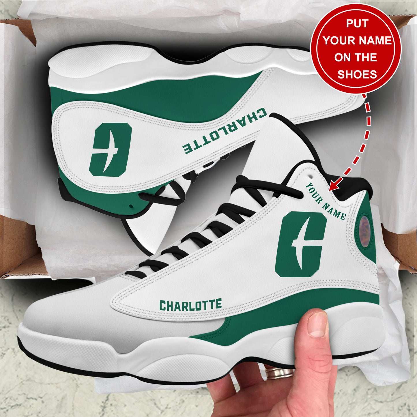 Ideafootwear Charlotte 49ers AJ13 Sneakers Shoes For Men And Women 1