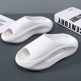 Hazel Platform Slides