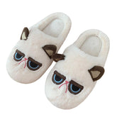 Grumpy Cat Slippers