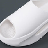 Hazel Platform Slides